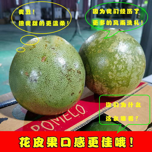 泰國青柚 白心金柚，當(dāng)季鮮果，享譽(yù)全球的熱帶特產(chǎn)